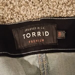 Torrid Premium Skinny Jeans - Soft Blue